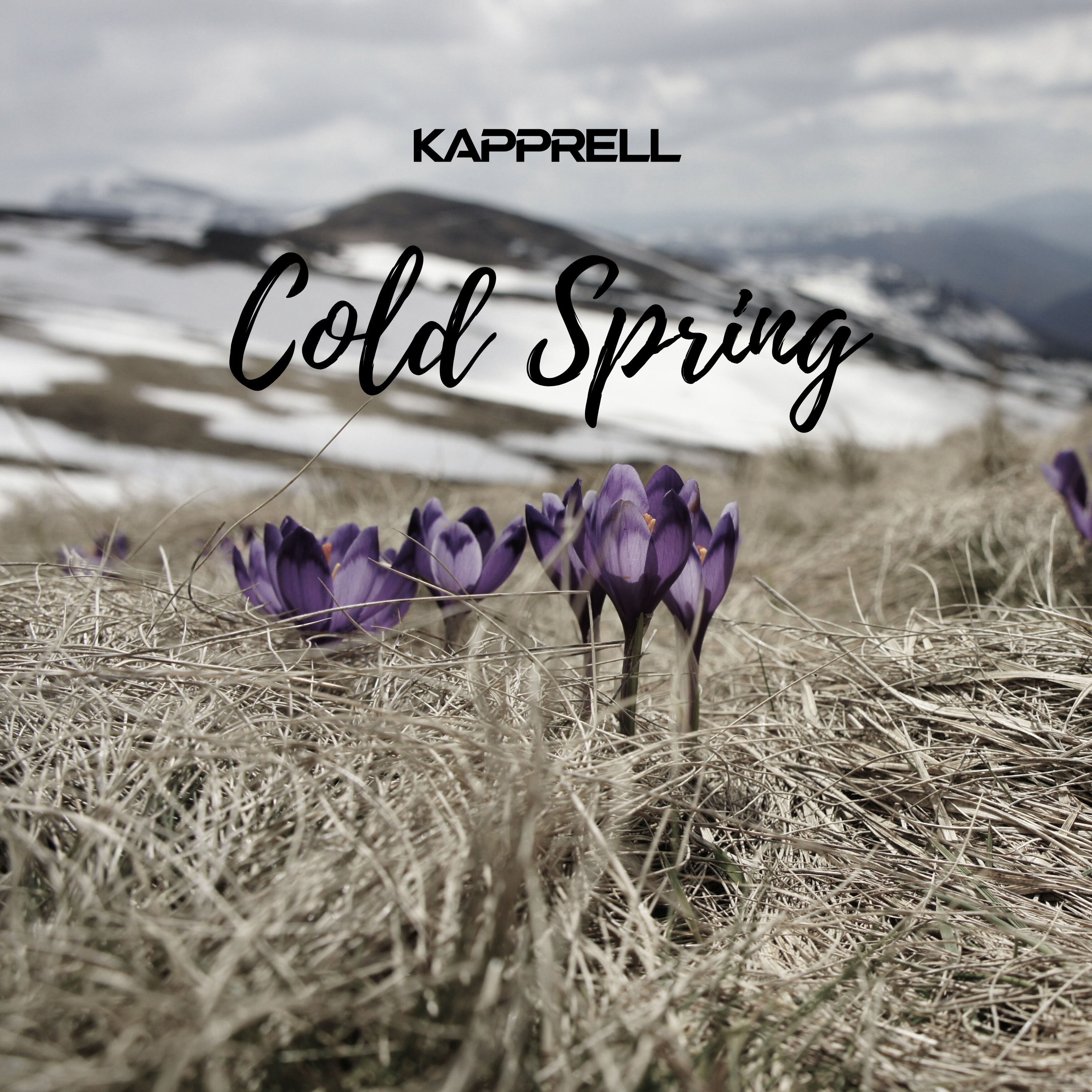 Cold Spring - Emotional Soundtrack by Kapprell